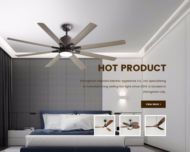 hot products of ceiling fan